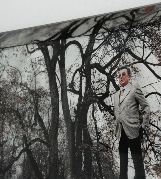 Mann mit grauem Jackett und Brille vor Bildtapete mit Bäumen